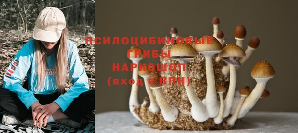 гидра Переславль-Залесский