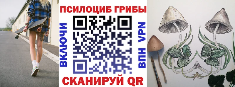 Купить  Ряжск  Псилоцибиновые грибы Psilocybe 